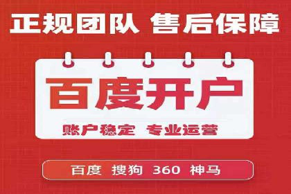 成功SEM服务案例分析报告